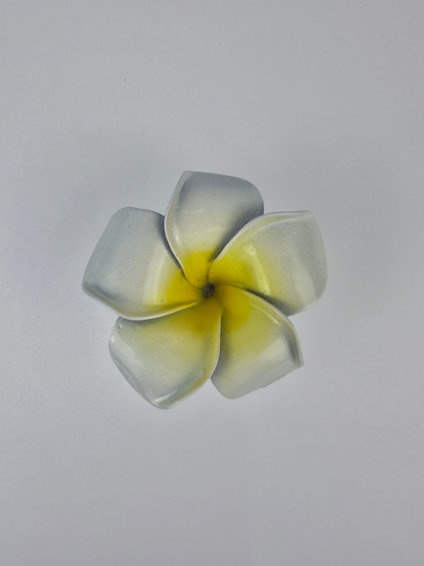 Plumeria Knob