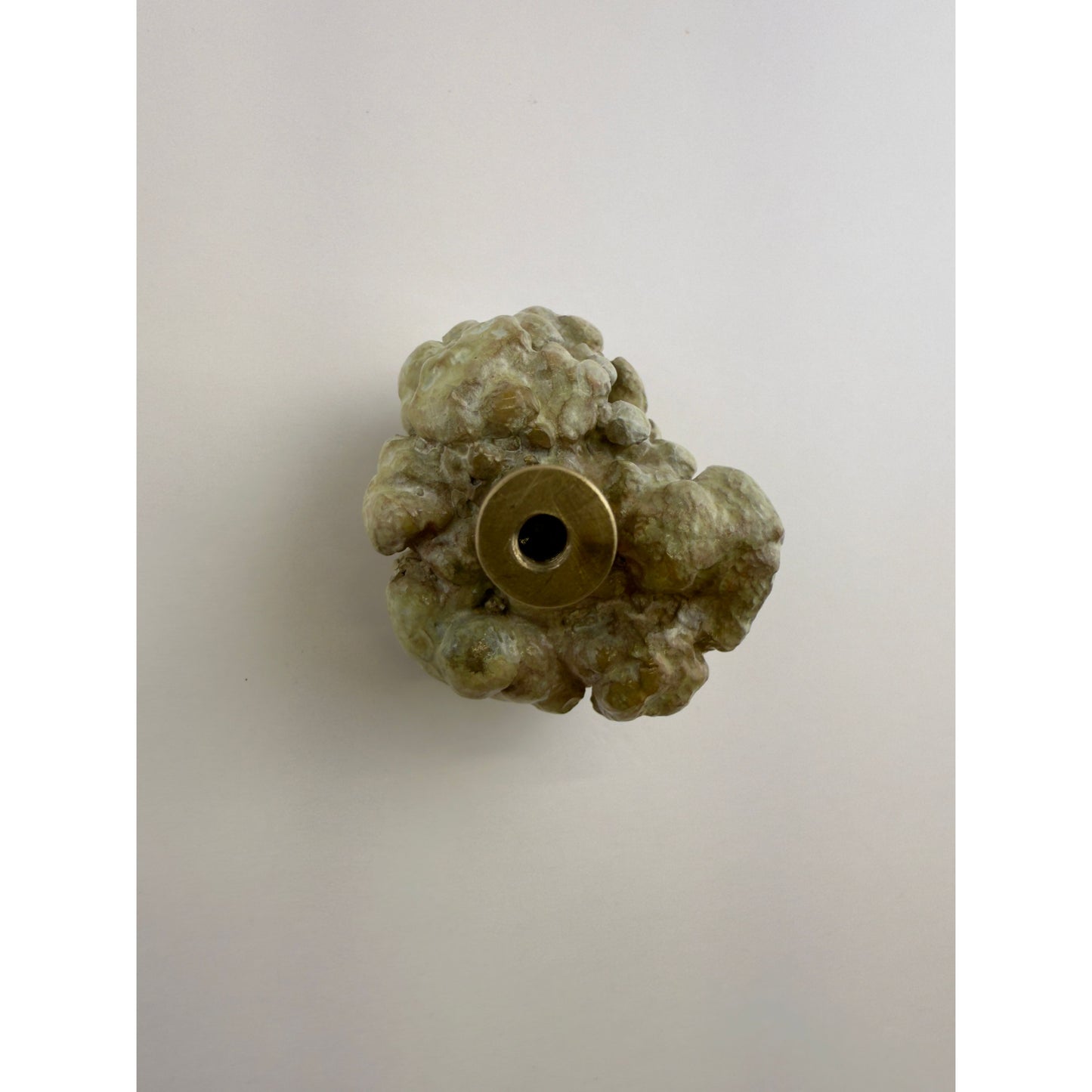 Tumbled Lobe Coral Knob