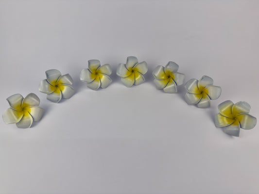 Plumeria Knob