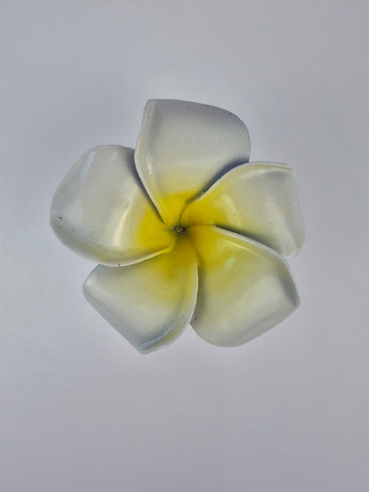 Plumeria Knob