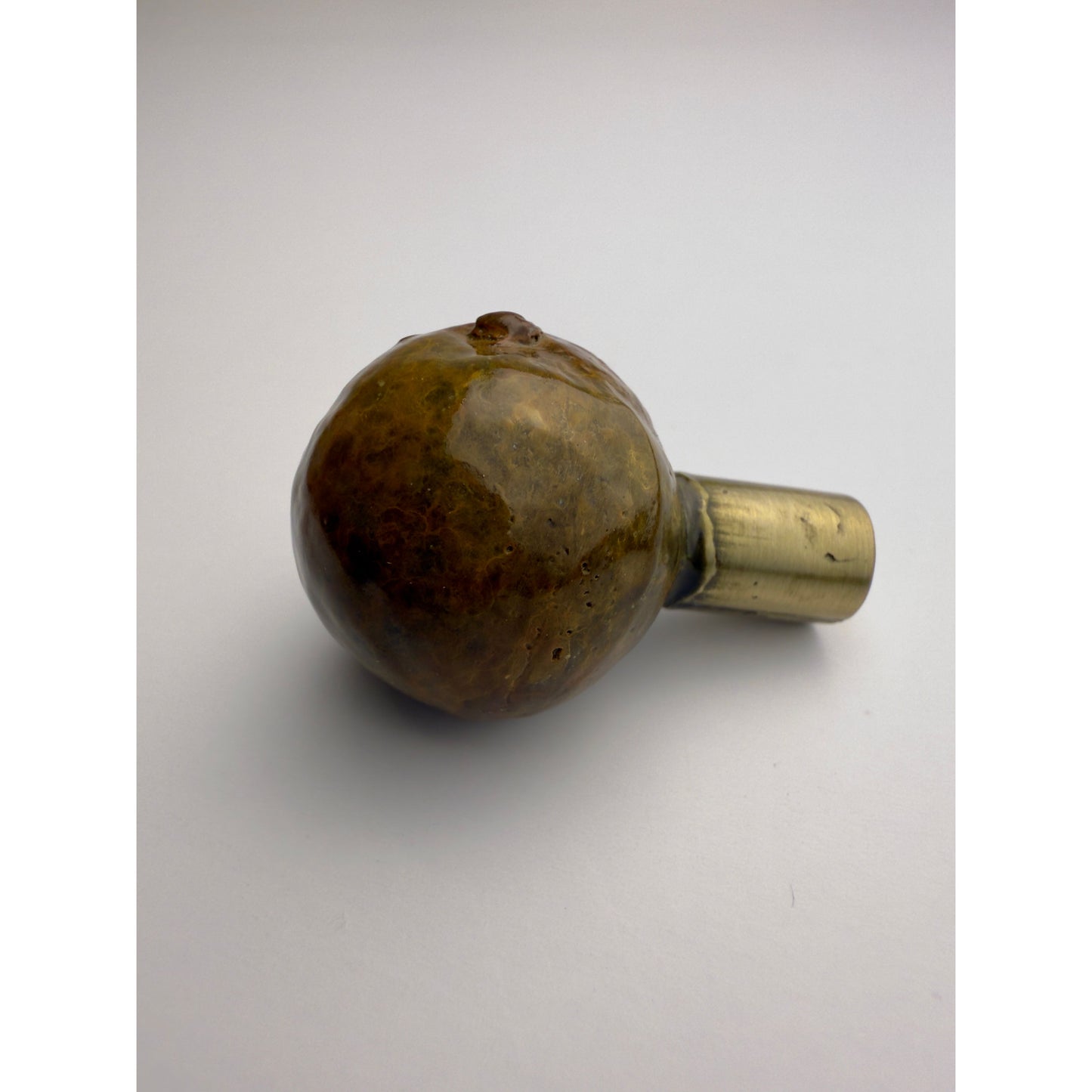 Macadamia Nut Knob