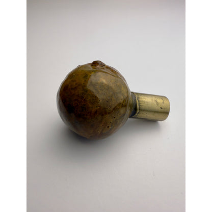 Macadamia Nut Knob