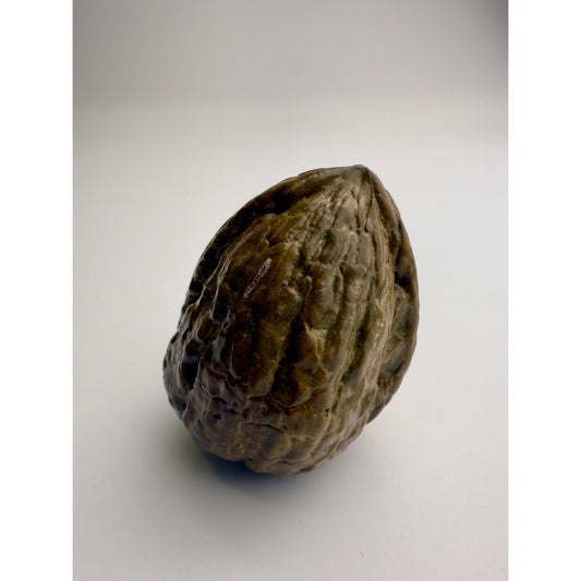 Walnut Knob