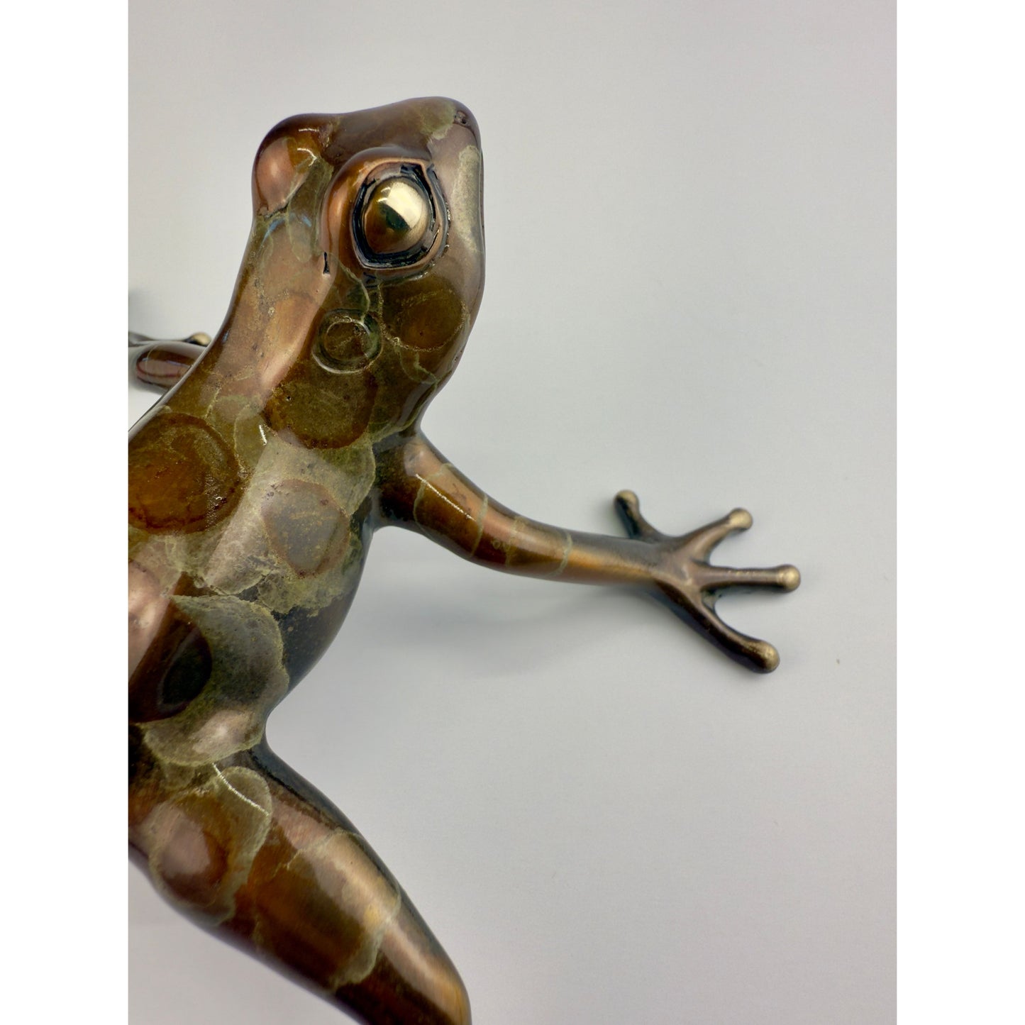 Tree Frog