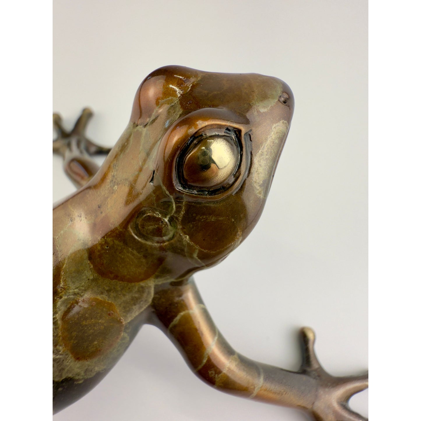 Tree Frog