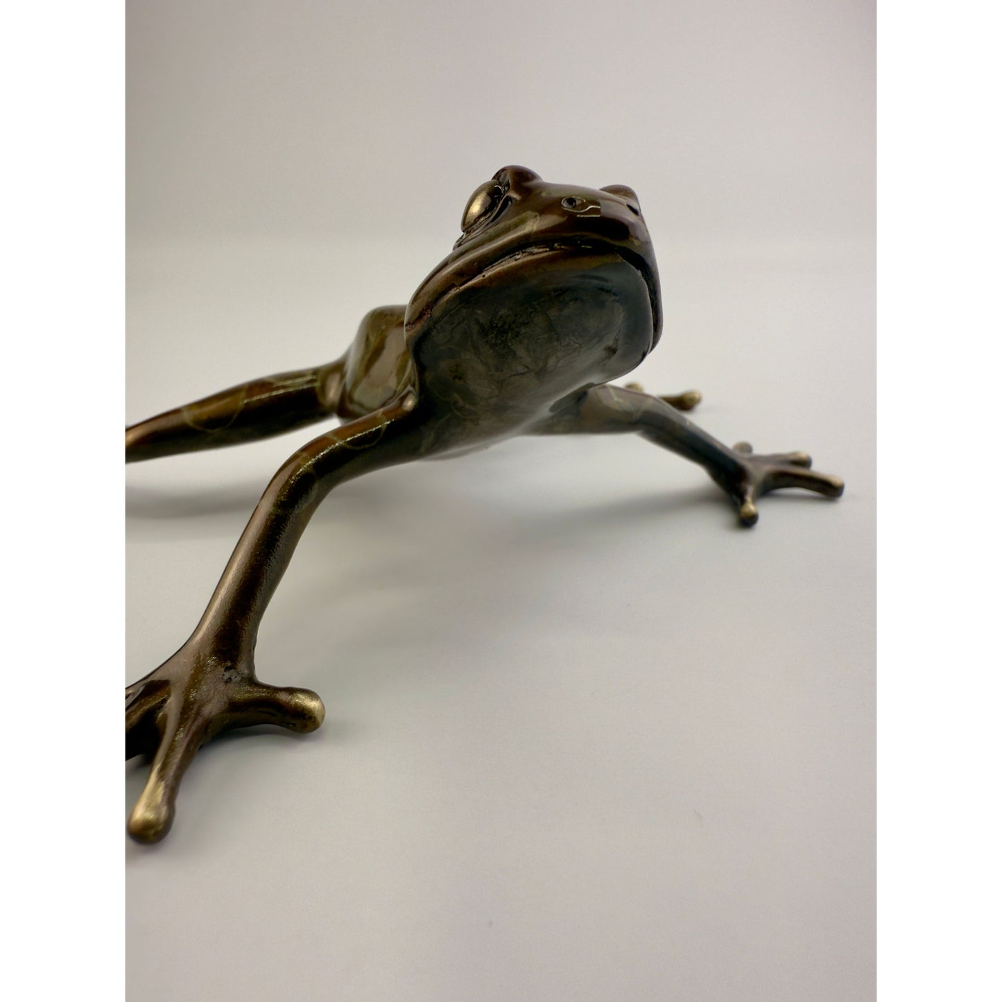 Tree Frog