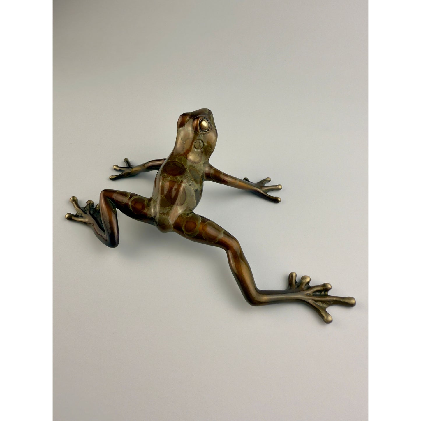 Tree Frog