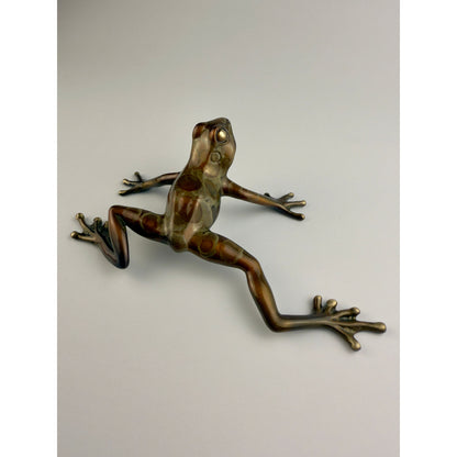 Tree Frog