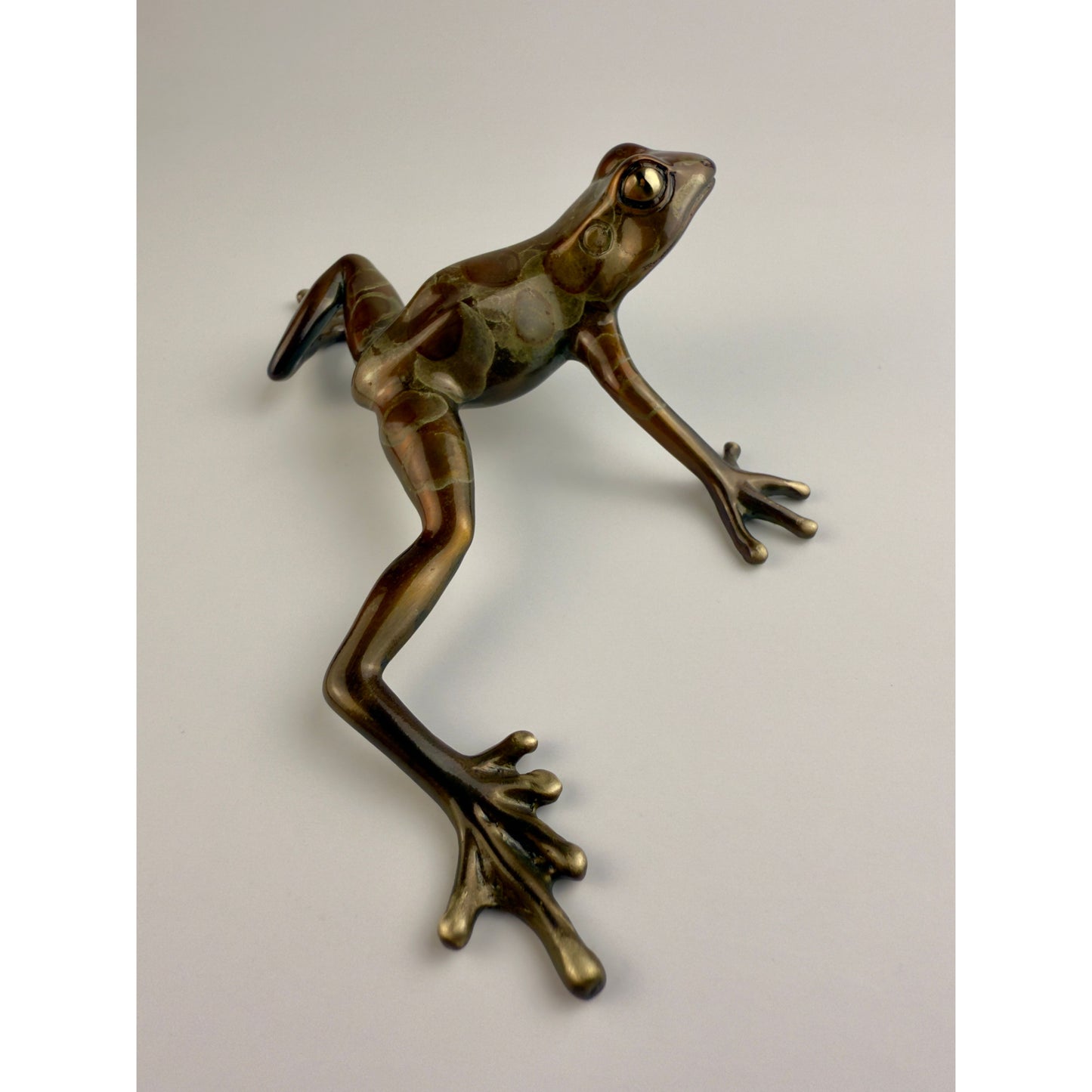 Tree Frog
