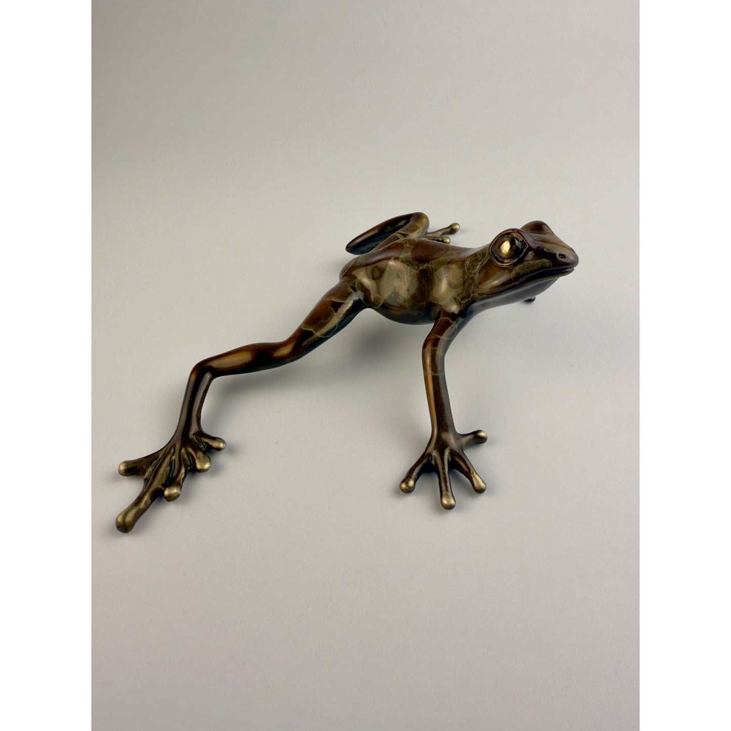 Tree Frog