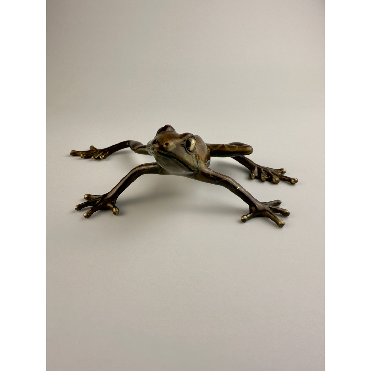 Tree Frog
