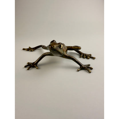 Tree Frog