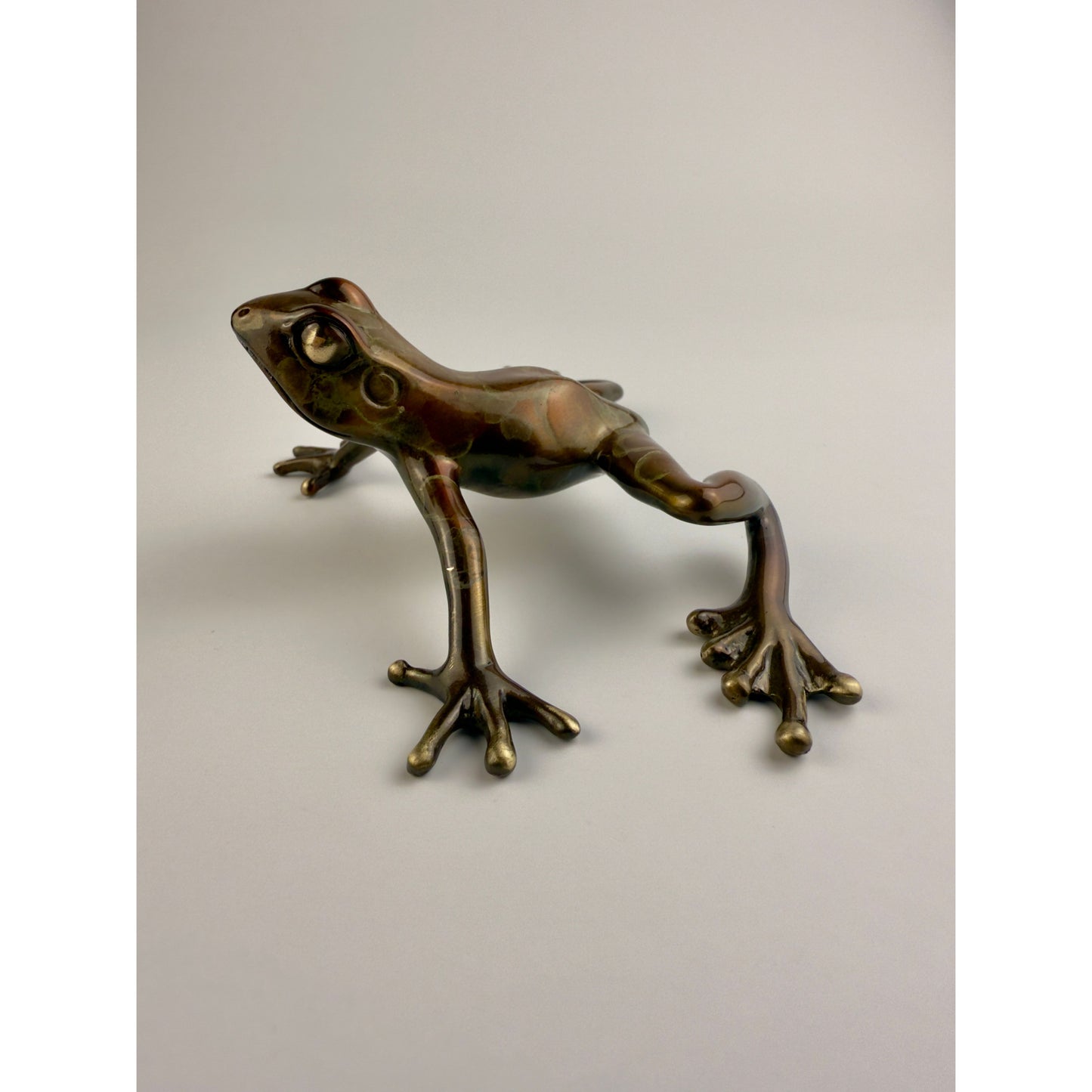 Tree Frog