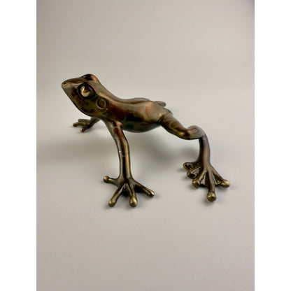 Tree Frog
