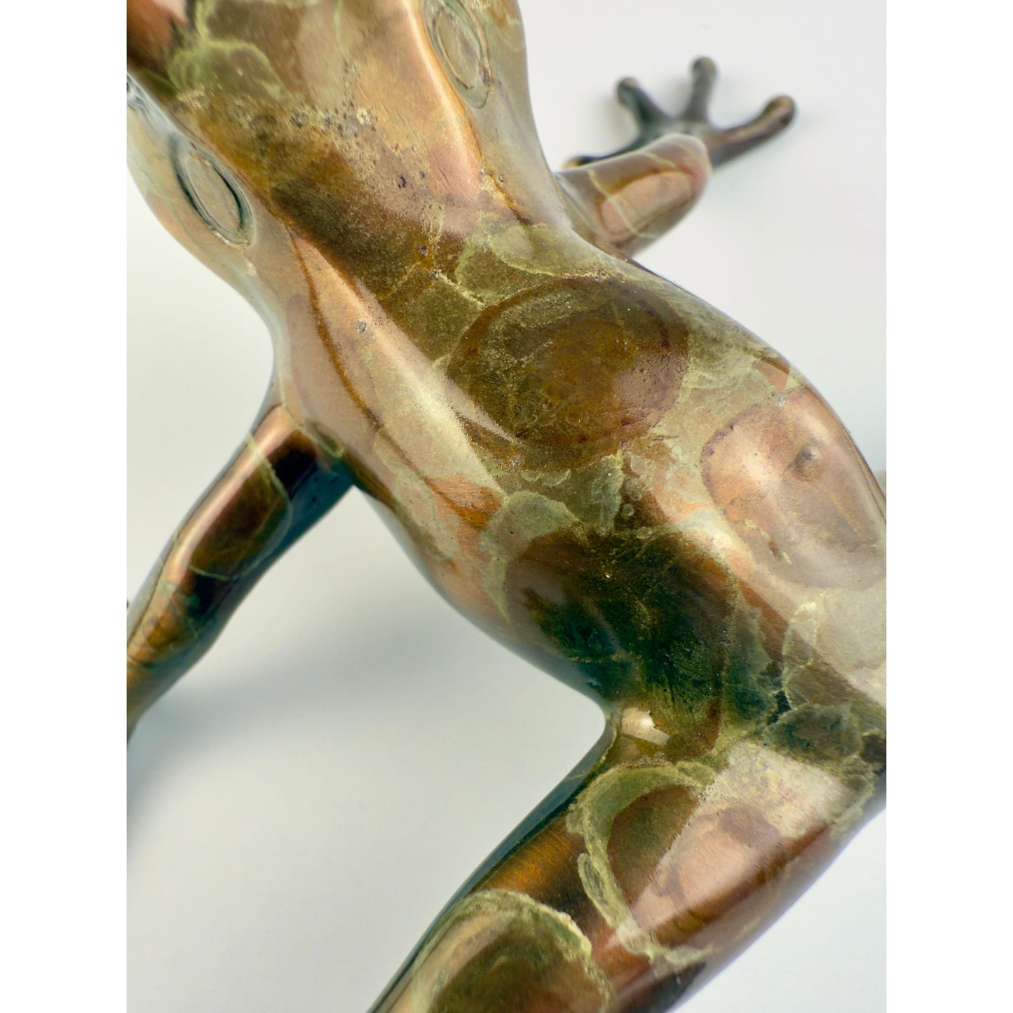 Tree Frog