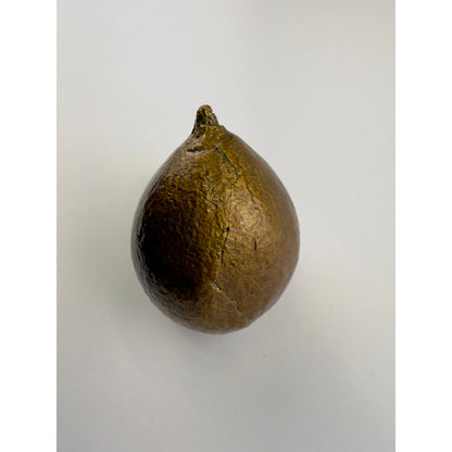 Kamani Nut Knob
