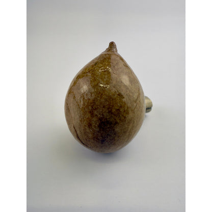 Kamani Nut Knob