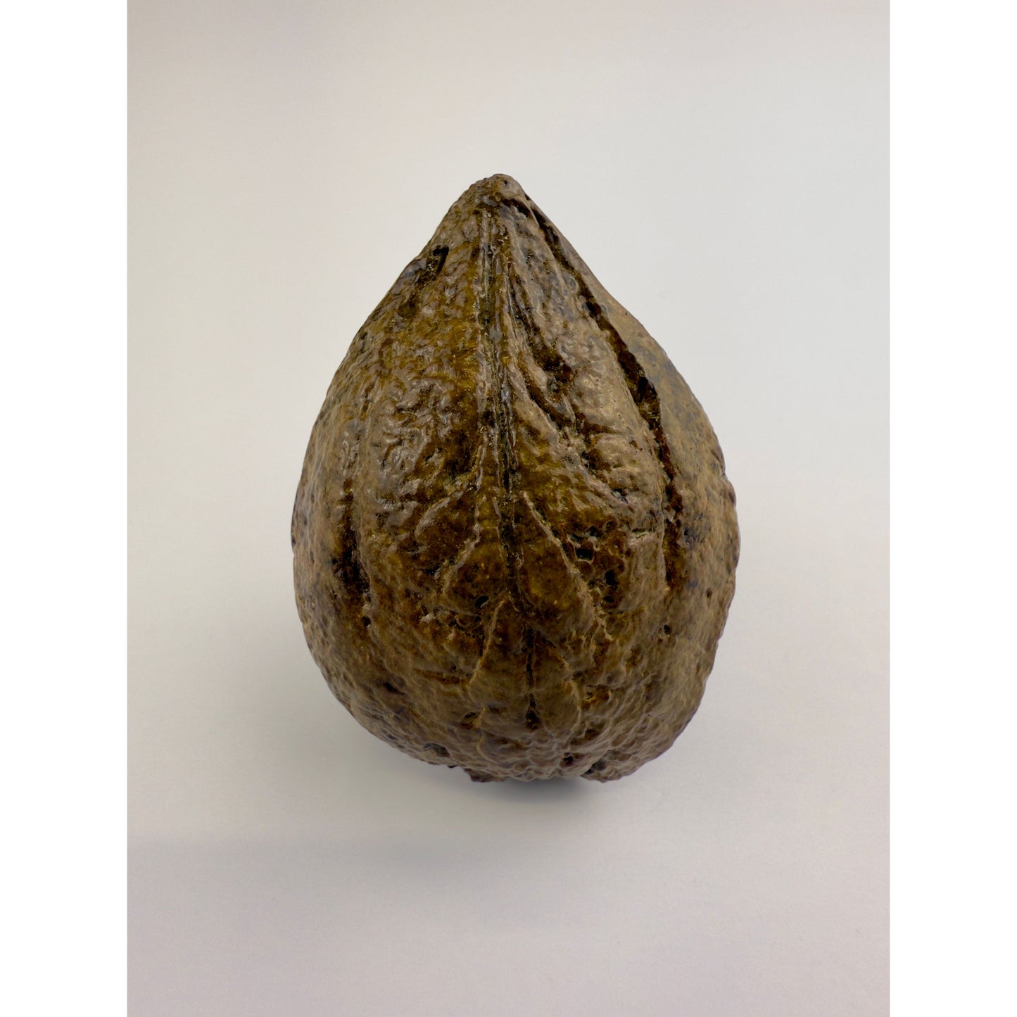Indian Almond Knob
