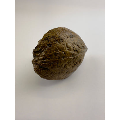 Indian Almond Knob