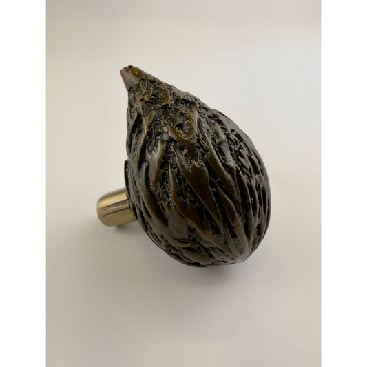 Foxtail Palm Seed Knob