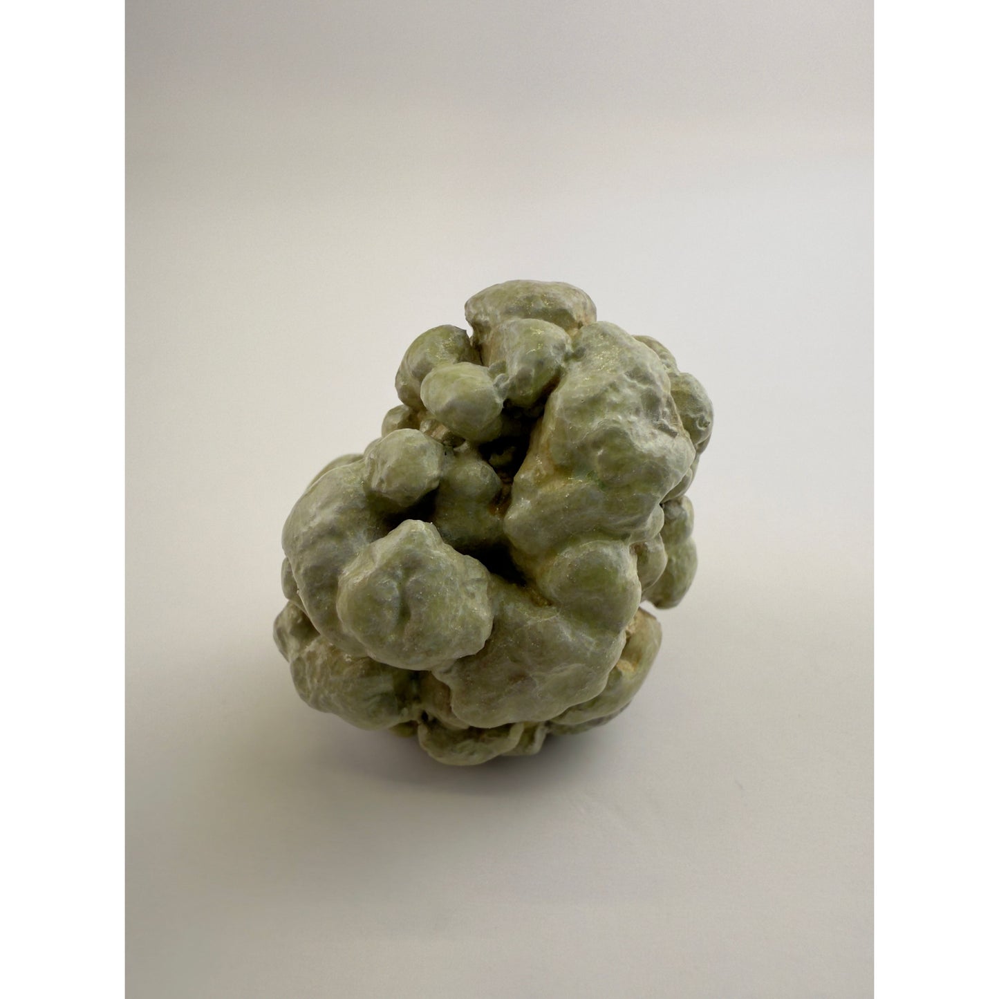 Tumbled Lobe Coral Knob