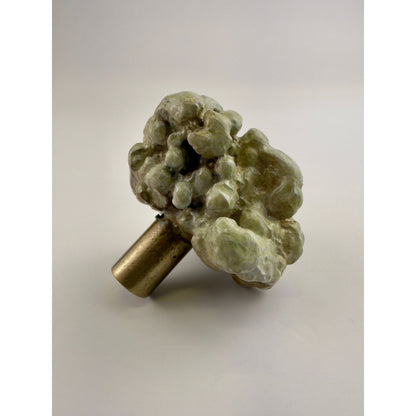 Tumbled Lobe Coral Knob
