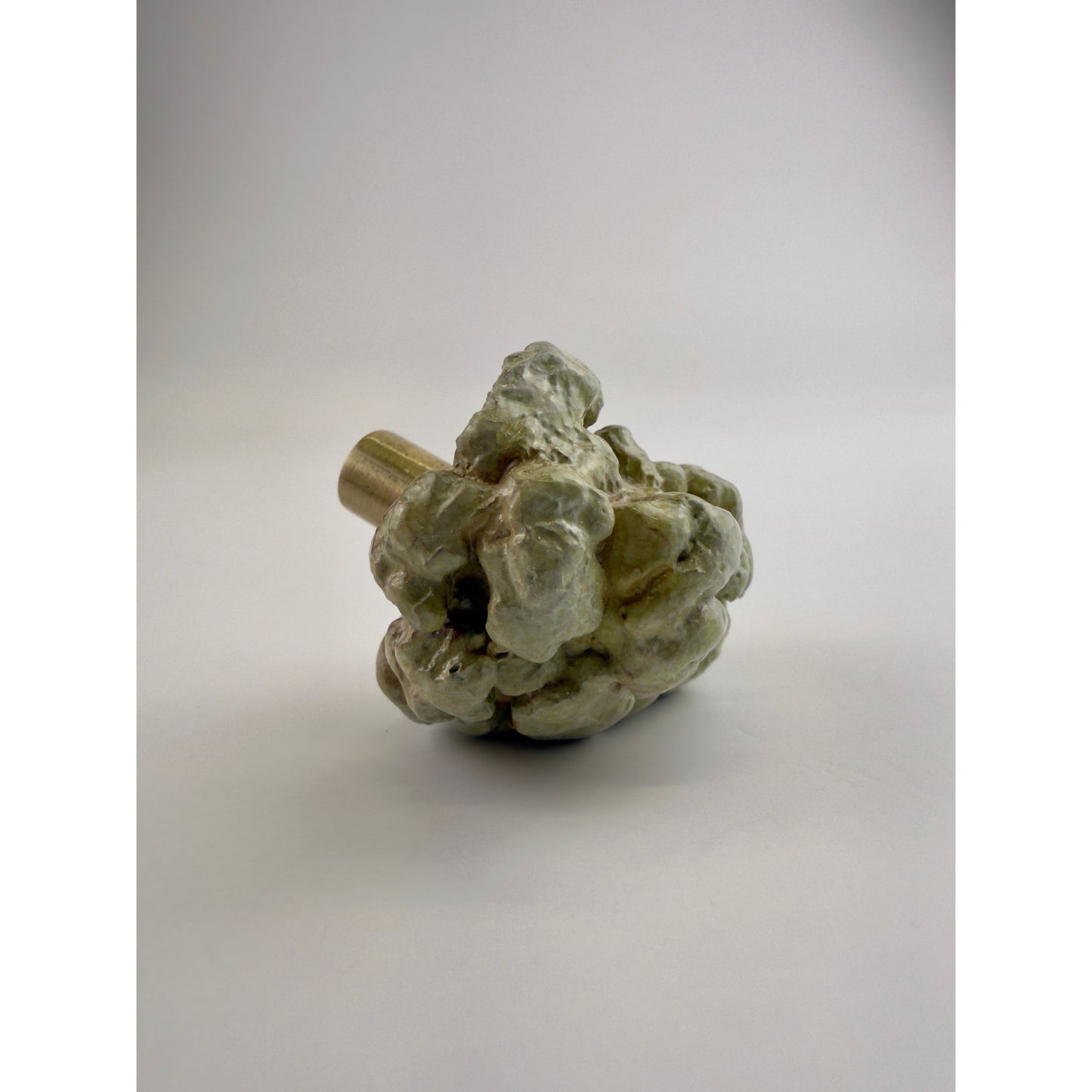 Tumbled Lobe Coral Knob