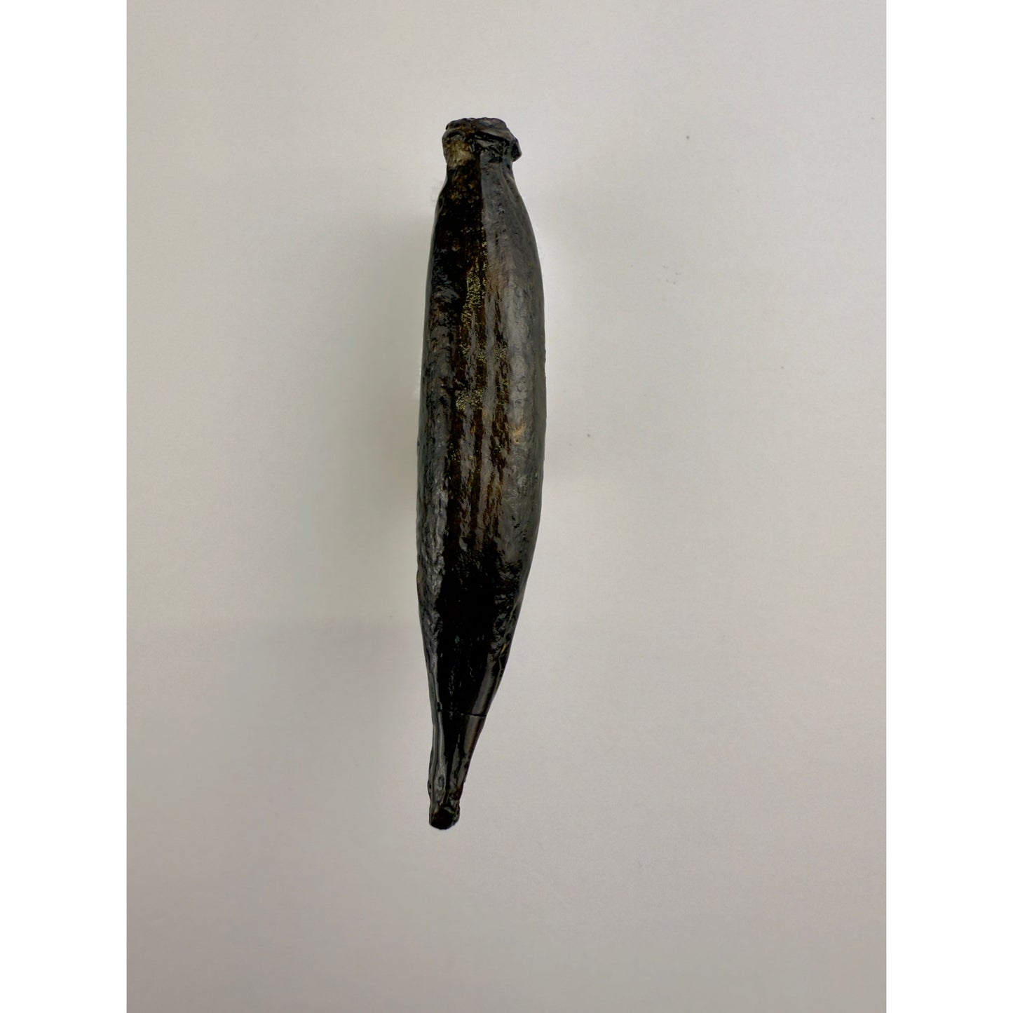 Silver Trumpet Knob