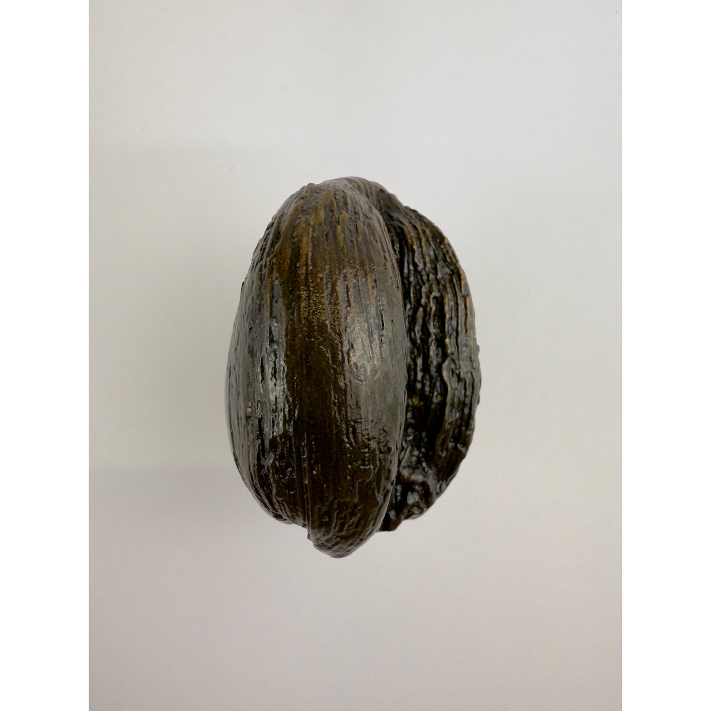 Li'i Coconut Knob