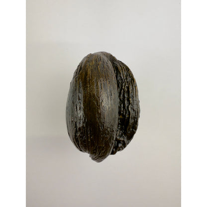 Li'i Coconut Knob