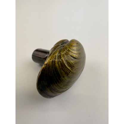 Littleneck Clam Knob