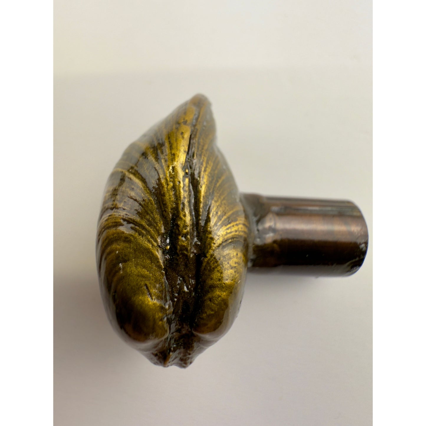 Littleneck Clam Knob