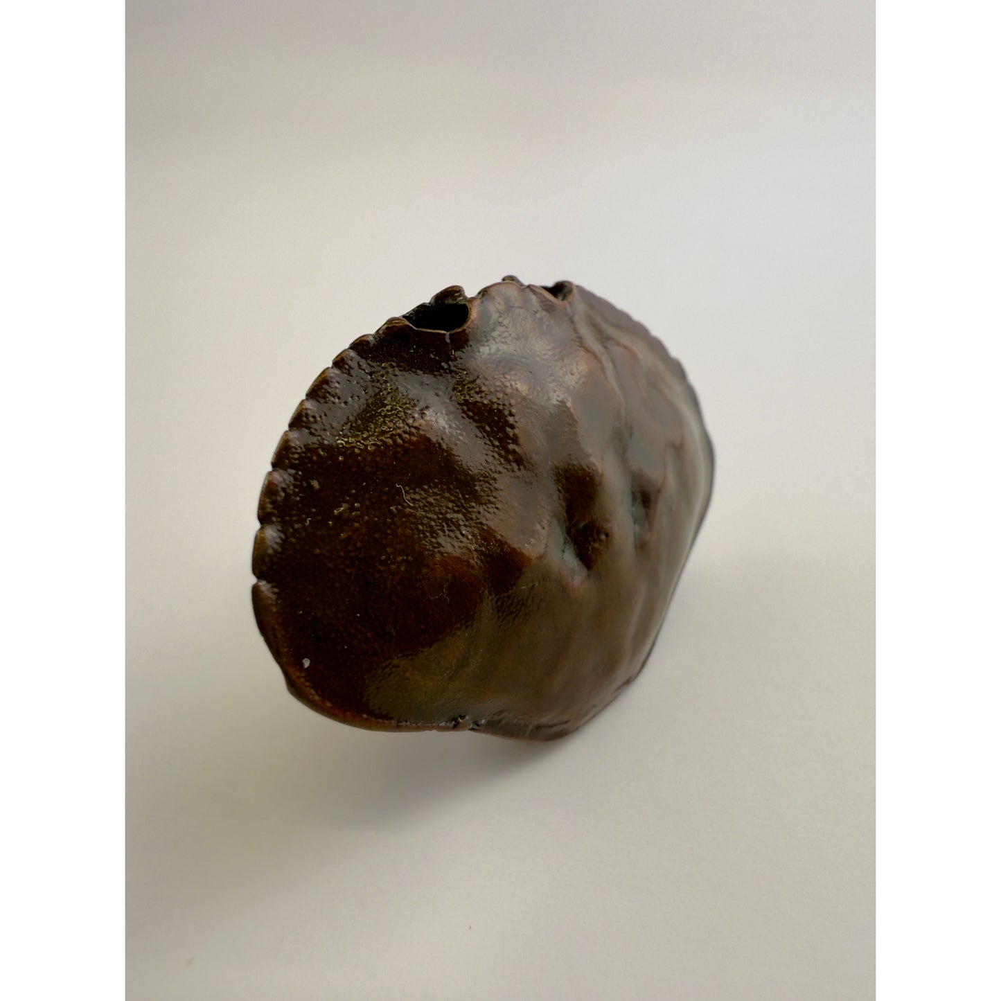 Dungeness Knob Small