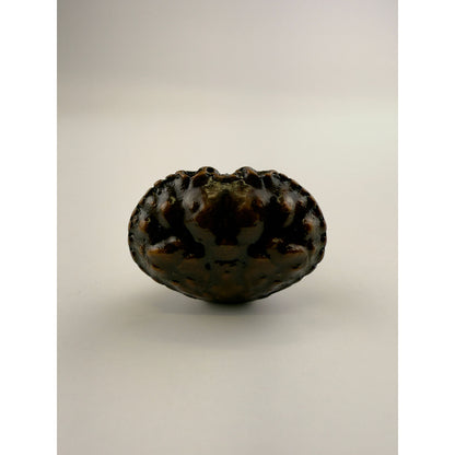 Red Rock Crab Knob