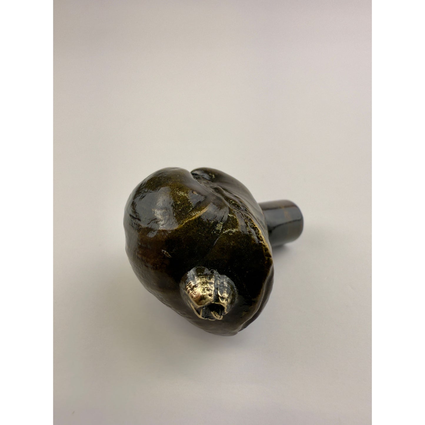 Littleneck Clam With Barnacles Pull