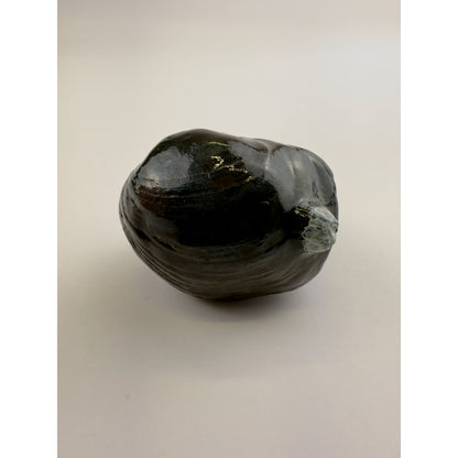 Littleneck Clam With Barnacles Pull