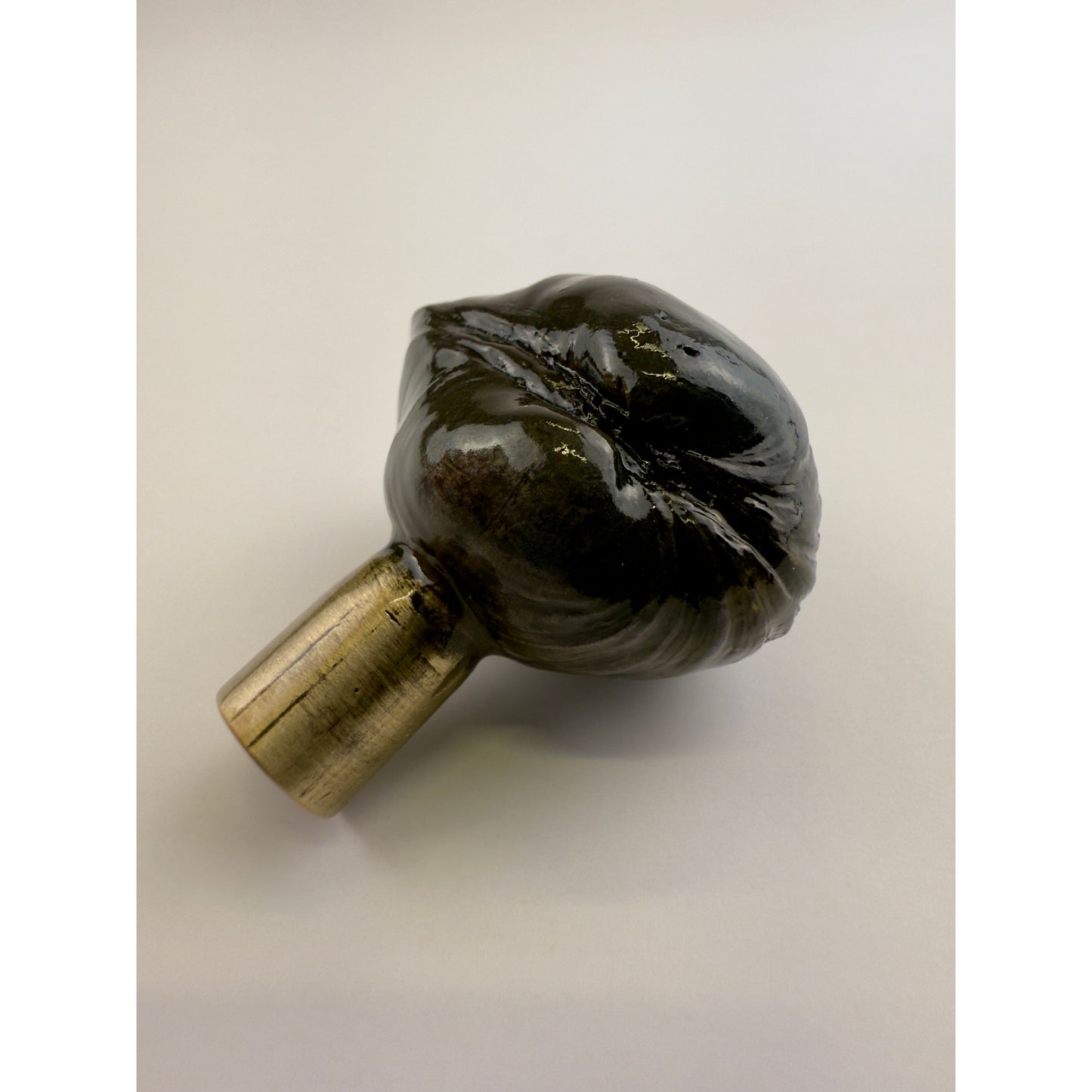 Littleneck Clam With Barnacles Pull