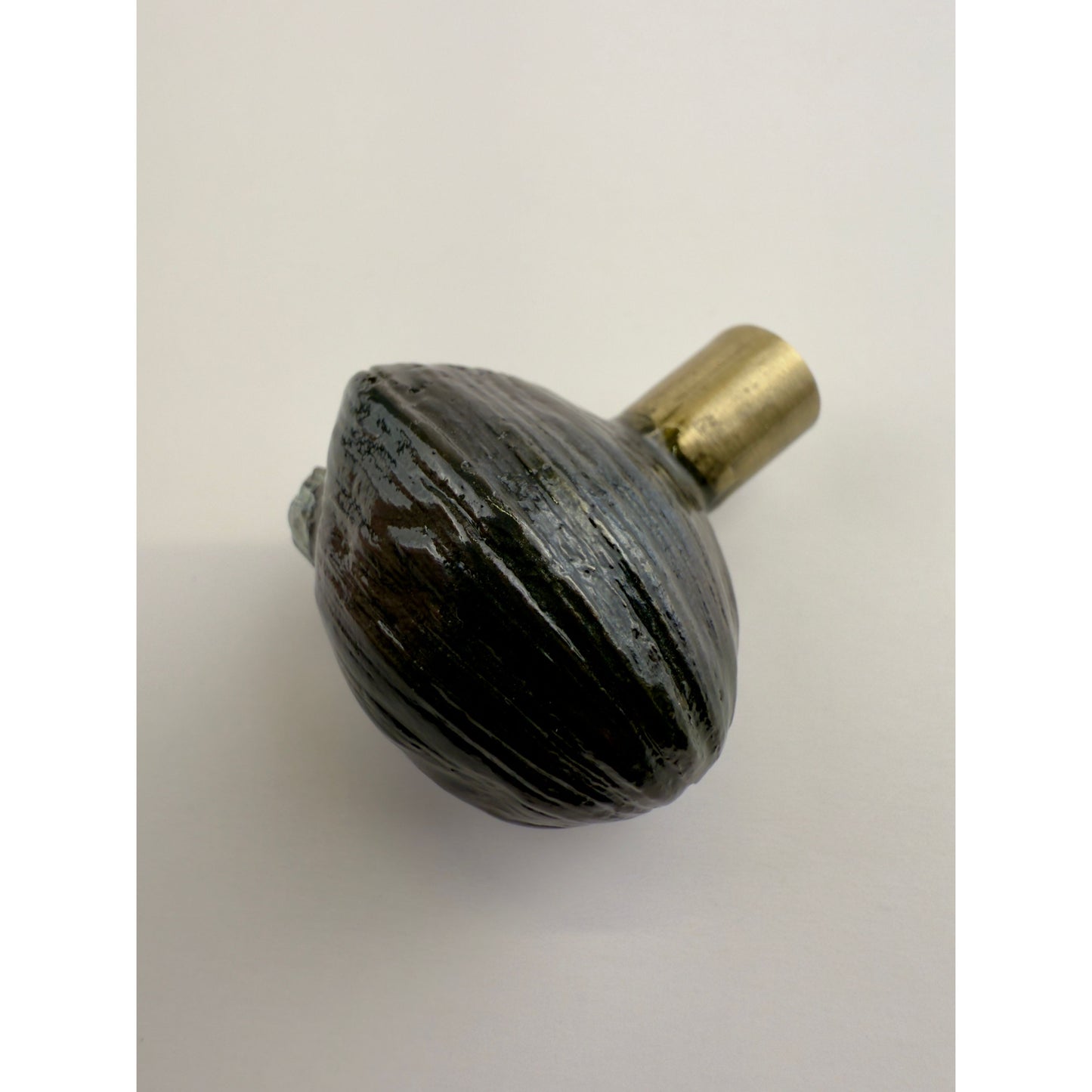 Littleneck Clam With Barnacles Pull