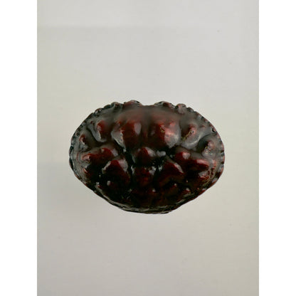 Red Rock Crab Knob