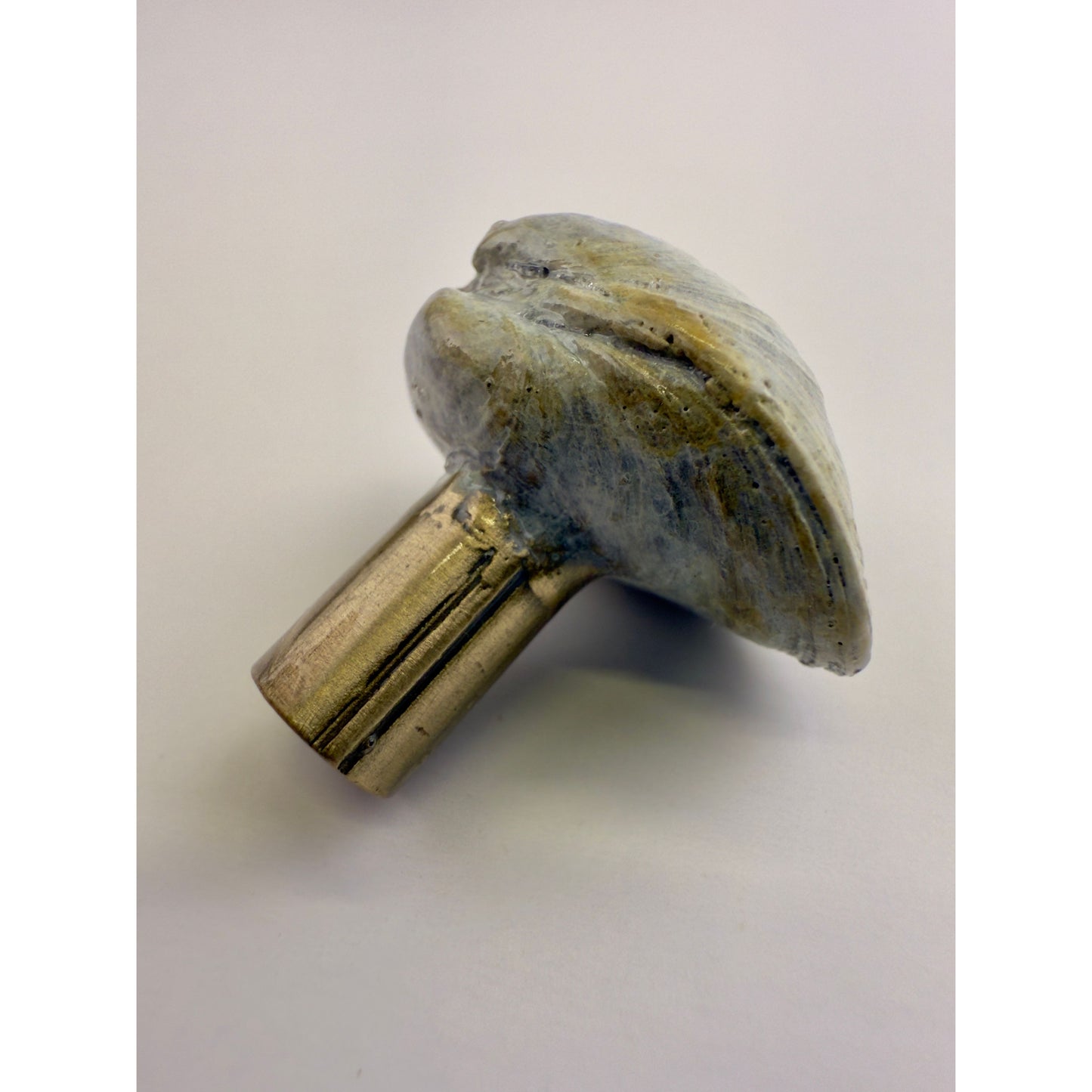 Littleneck Clam Knob