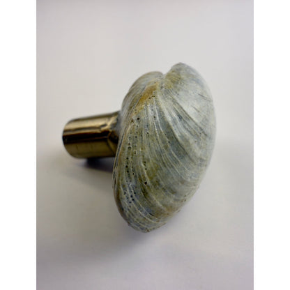 Littleneck Clam Knob