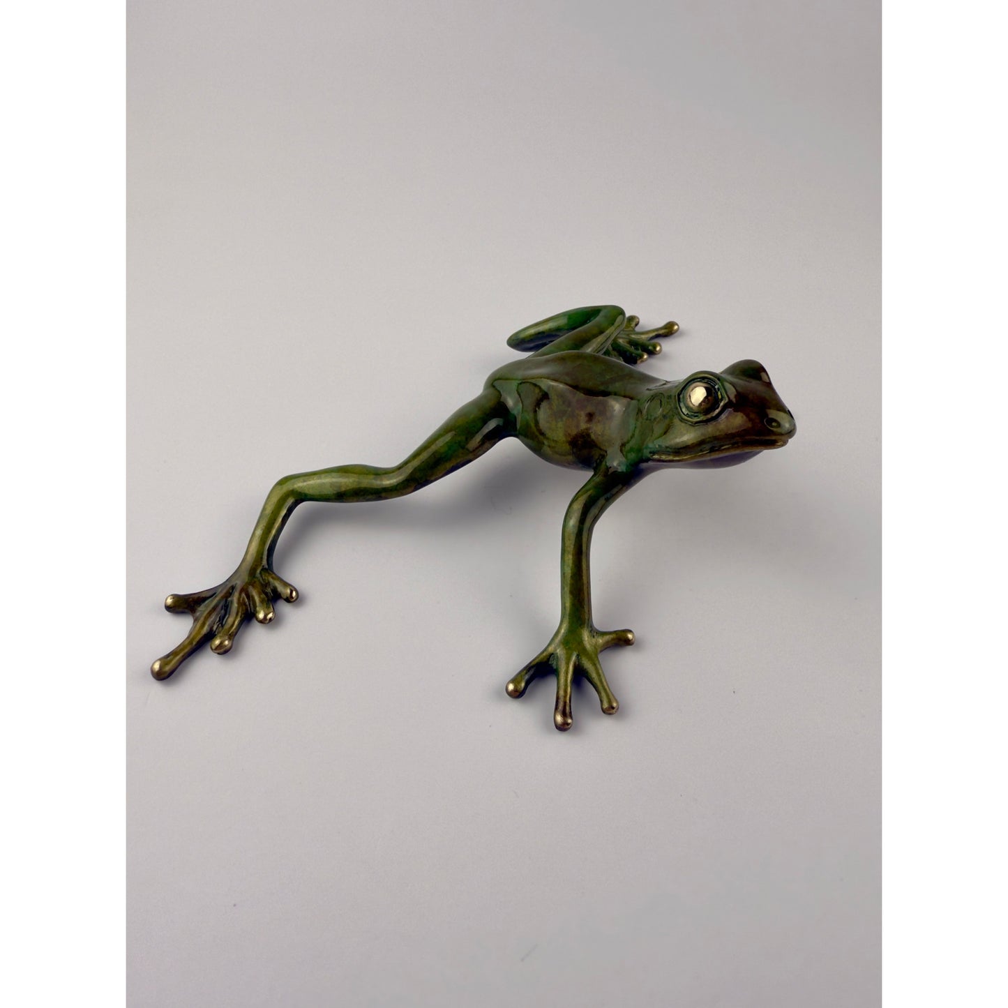Tree Frog