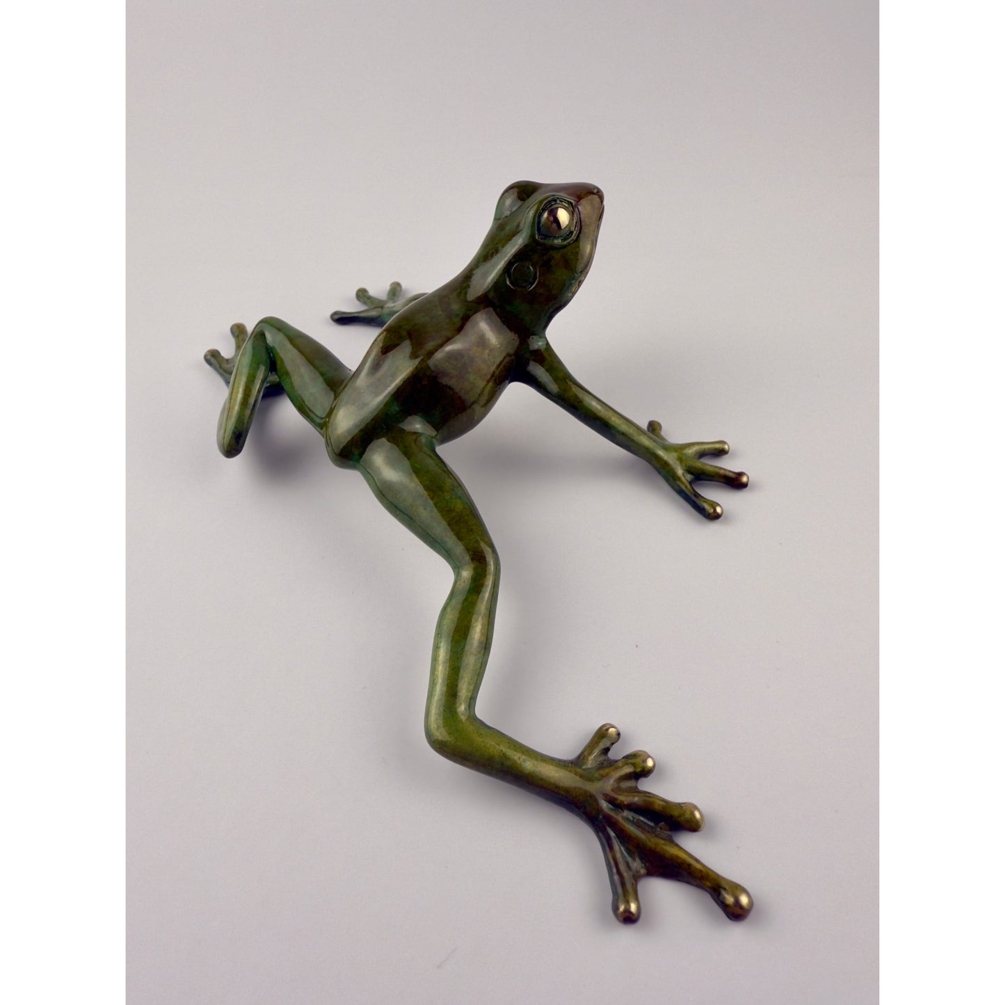 Tree Frog