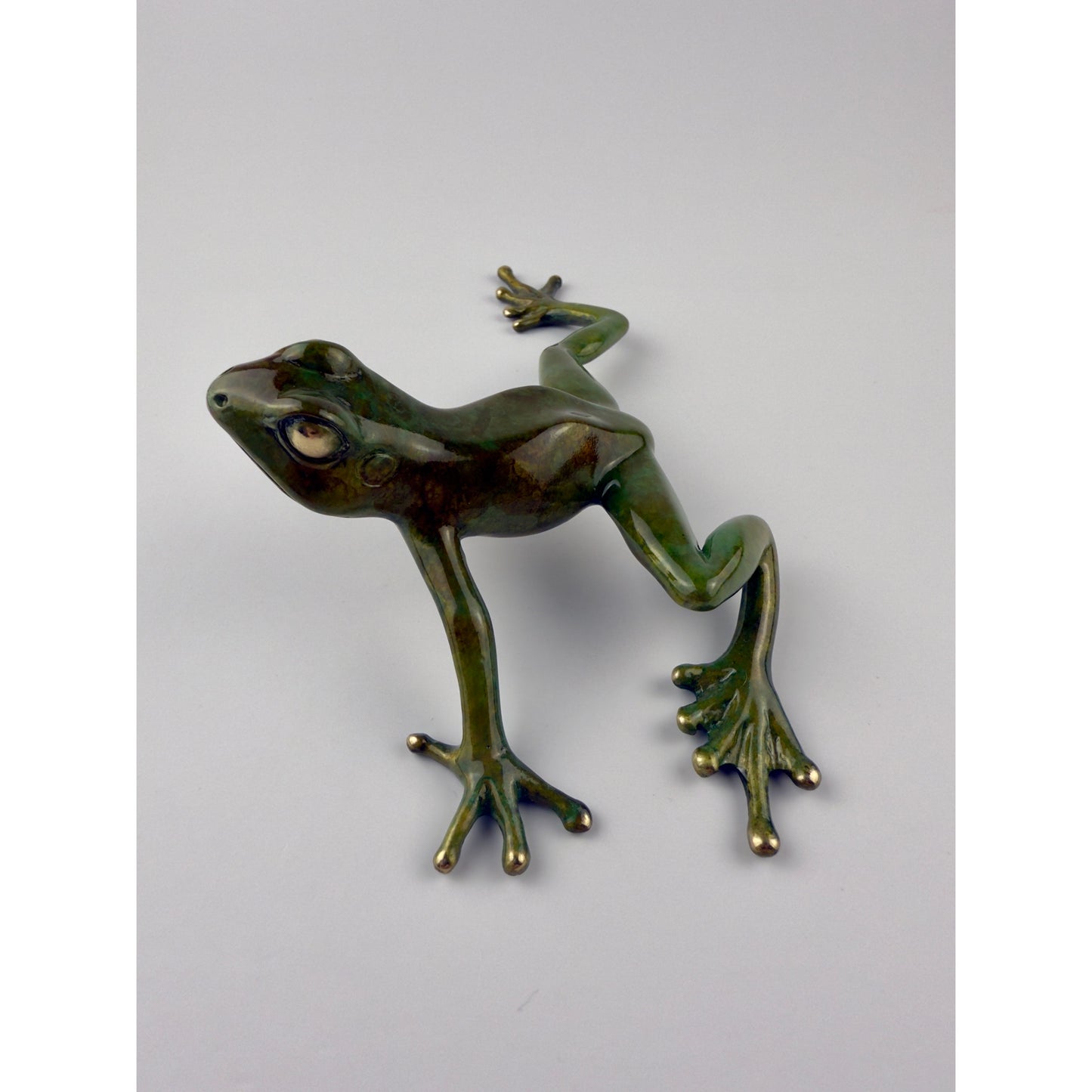 Tree Frog