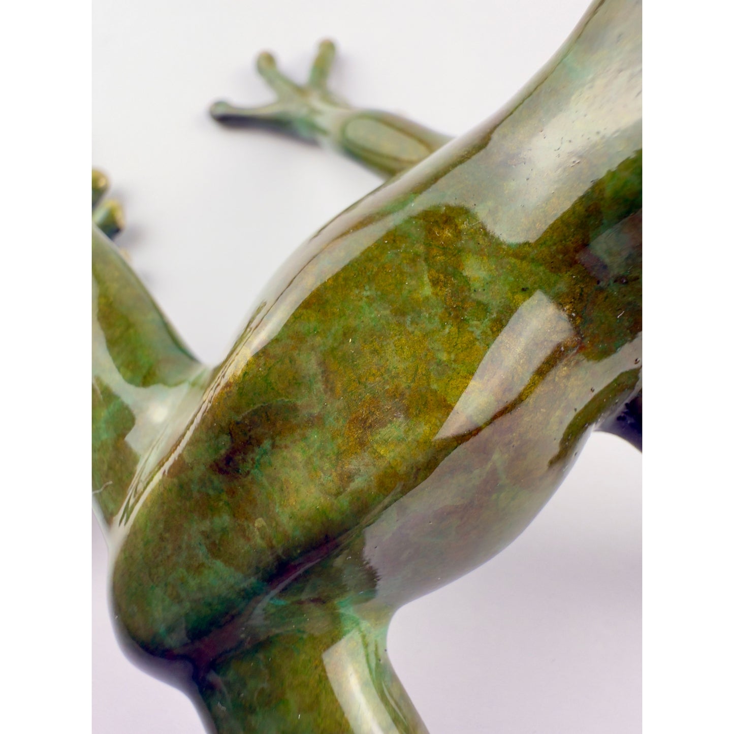 Tree Frog