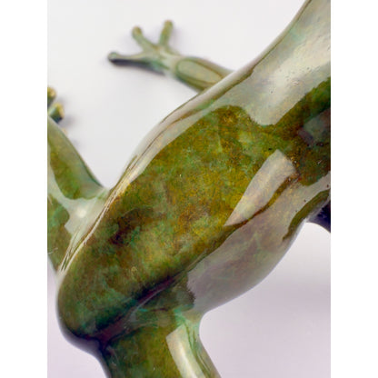 Tree Frog