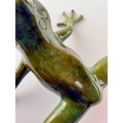 Tree Frog