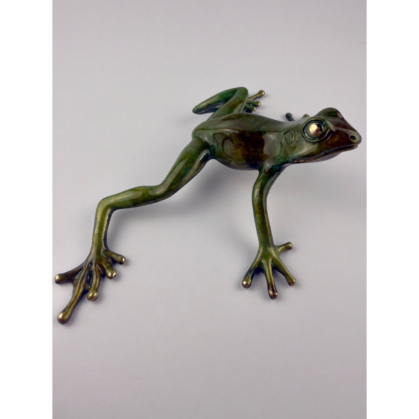 Tree Frog