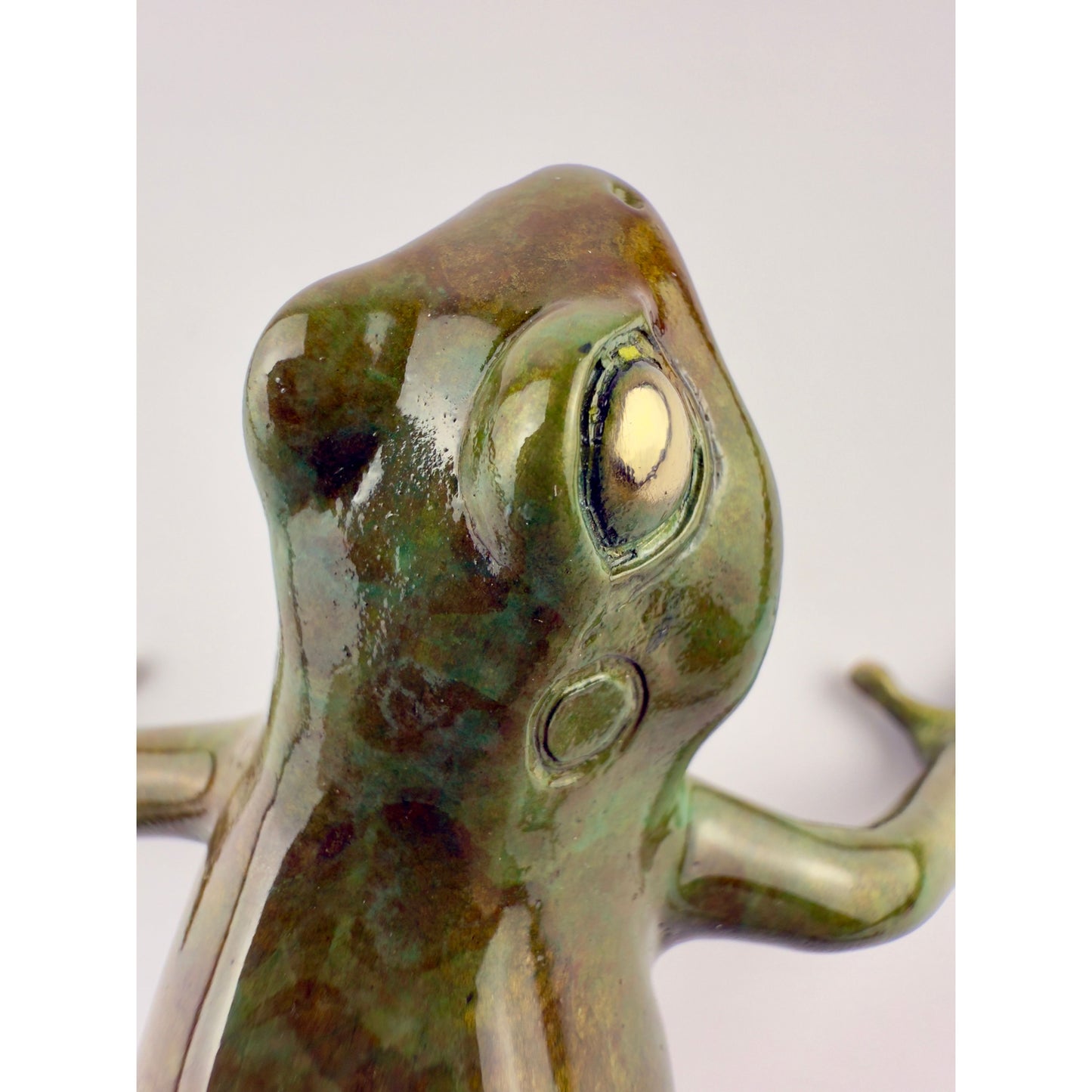 Tree Frog