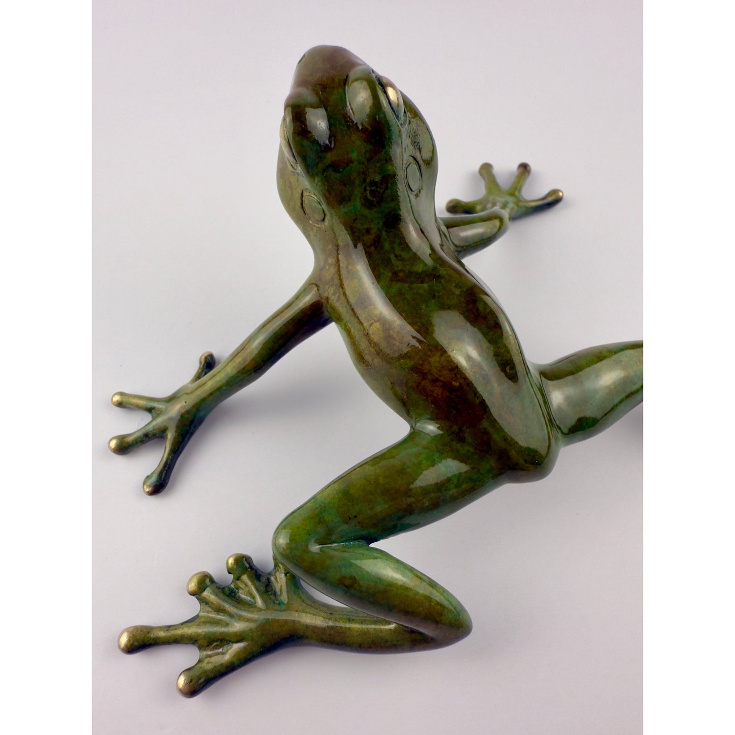 Tree Frog